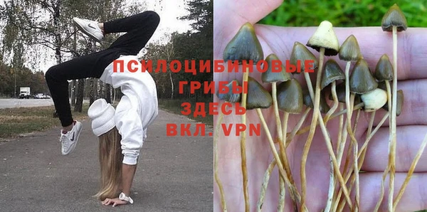 эйфоретик Богородицк