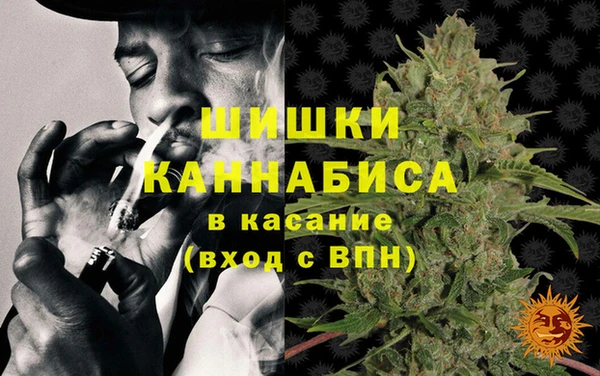 первитин Богданович