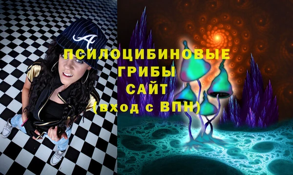 первитин Богданович