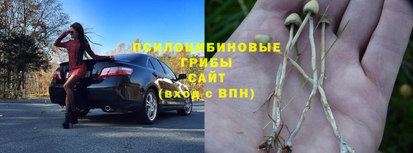 эйфоретик Богородицк