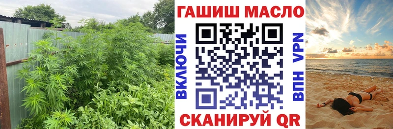ТГК Wax сайты даркнета Telegram Чудово купить закладку
