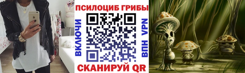 купить наркоту  Чудово  Галлюциногенные грибы Cubensis 